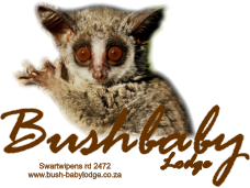 Bushbaby  Lodge Swartwipens rd 2472www.bush-babylodge.co.za