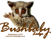 Bushbaby  Lodge Swartwipens rd 2472www.bush-babylodge.co.za